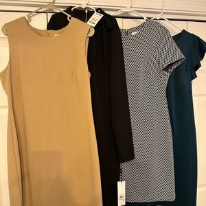 Calvin Klein Beige, Black, and Teal Dress Collection